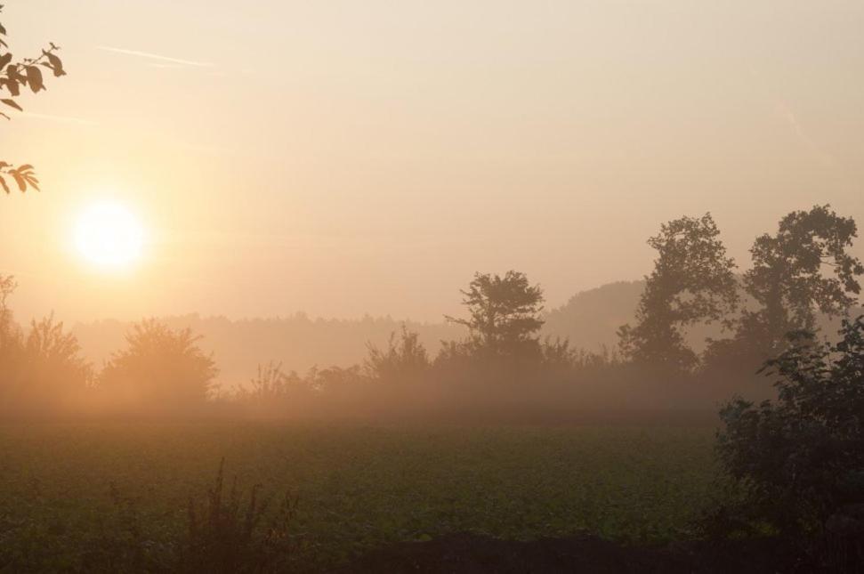 Hoeve Delshorst Heibloem ภายนอก รูปภาพ