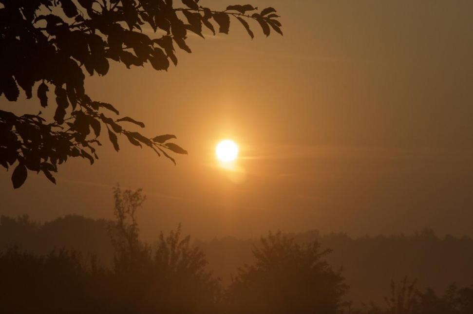 Hoeve Delshorst Heibloem ภายนอก รูปภาพ